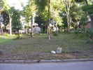 fl1_65.jpg