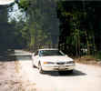 fl2_61.jpg