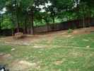 ga2_26.jpg