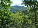 md1_24.jpg