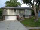 nb1_19.jpg
