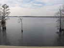 nc1_66.jpg