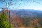 nc2_32.jpg