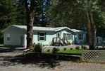 or1_33.jpg