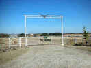 tx4_11.jpg