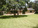 tx5_10.jpg