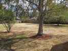 or3_1.jpg